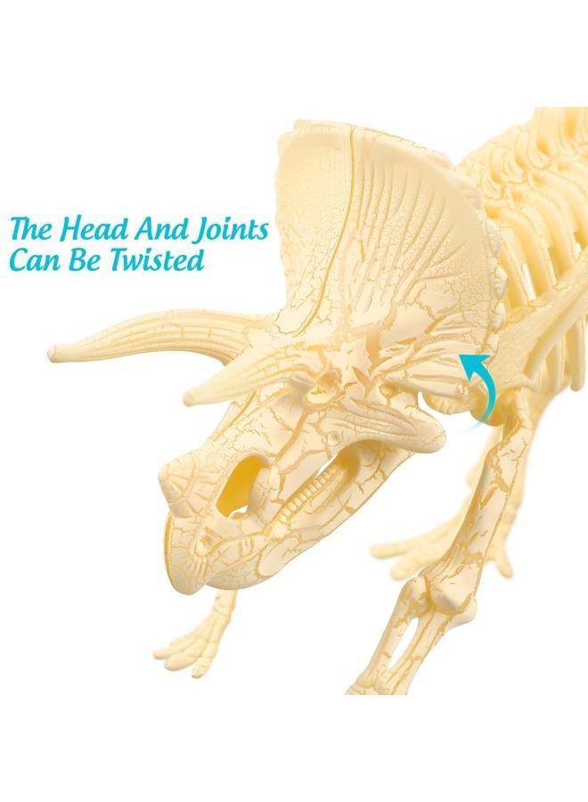 NUOLUX 3Pcs 4D Dinosaur Fossil Skeleton Toys DIY For Kids Fossil Skeleton Figure - Image 3