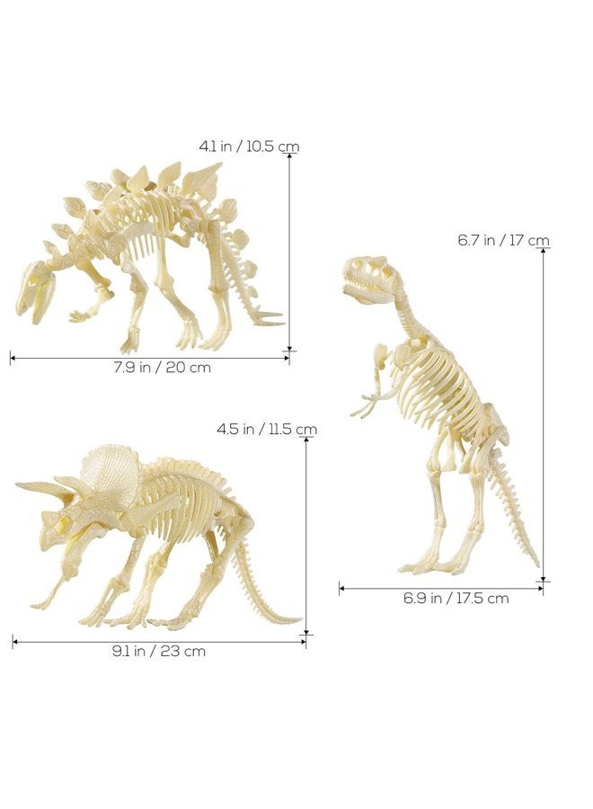 NUOLUX 3Pcs 4D Dinosaur Fossil Skeleton Toys DIY For Kids Fossil Skeleton Figure - Image 4