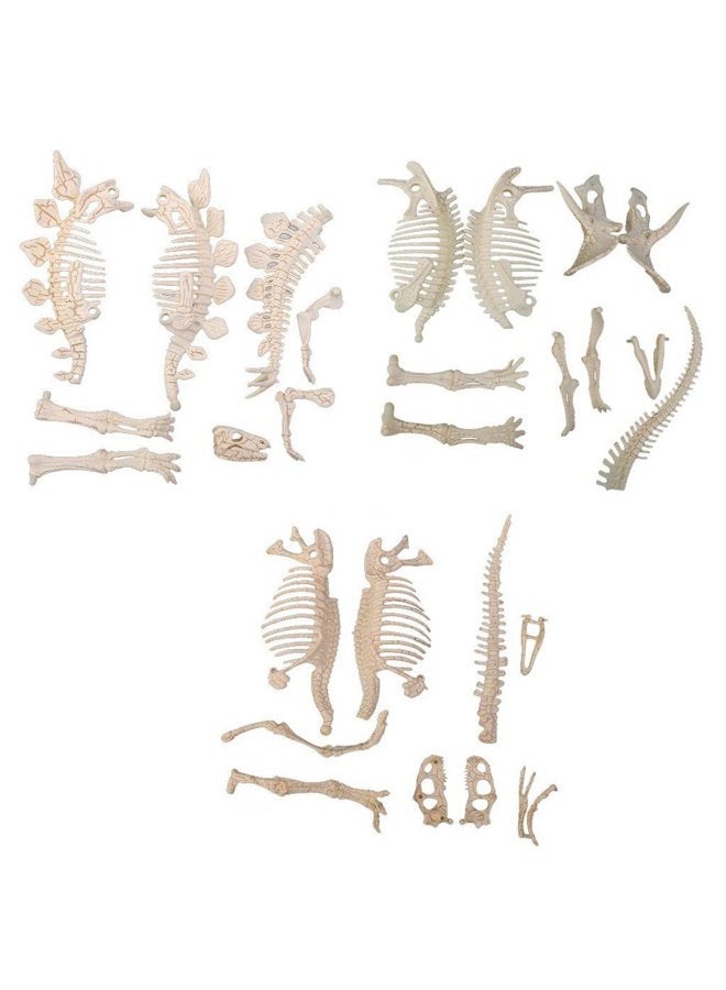 NUOLUX 3Pcs 4D Dinosaur Fossil Skeleton Toys DIY For Kids Fossil Skeleton Figure - Image 1