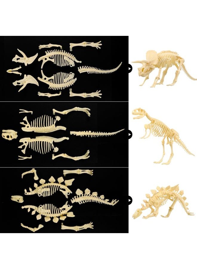 NUOLUX 3Pcs 4D Dinosaur Fossil Skeleton Toys DIY For Kids Fossil Skeleton Figure - Image 2