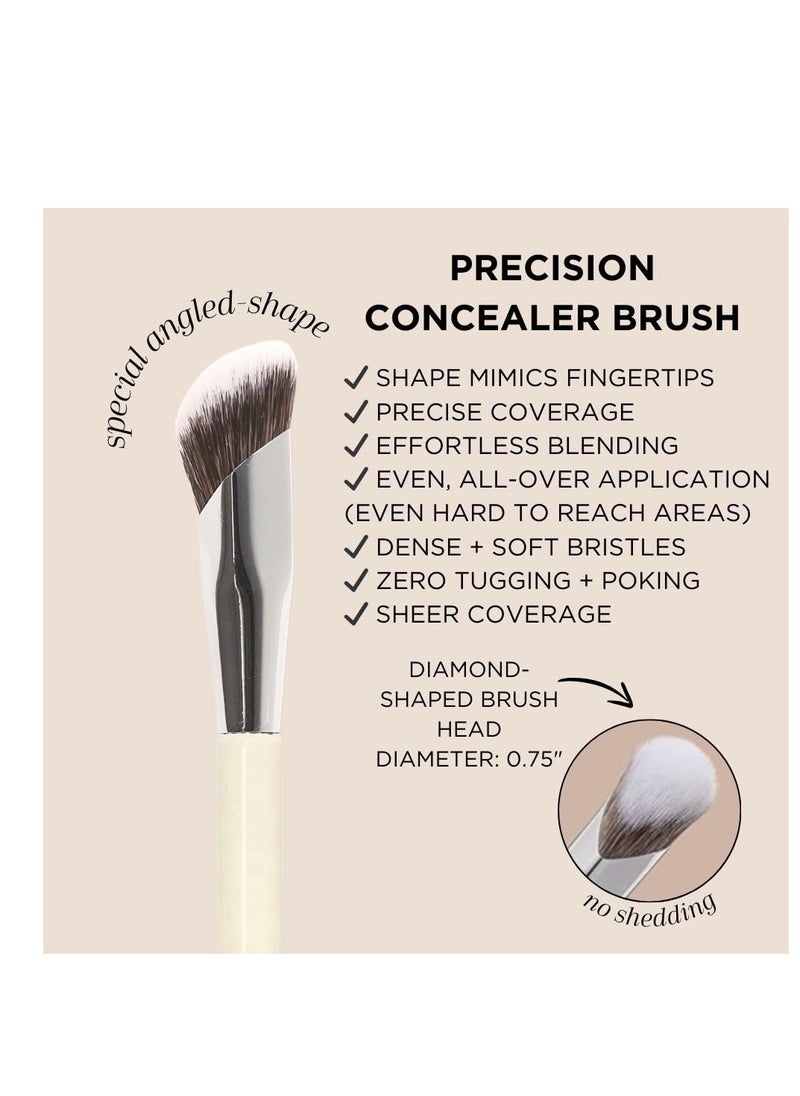 HALEYS HALEYS Concealer Brush VEGAN+CRUELTY-FREE, Sustainable Wood, Vegan Bristles for Airbrushed Finish, For Creams,Liquids, Powder, Streak-free, Perfect Blending, Buffs, Smooths with Control, Special shape  - Image 4