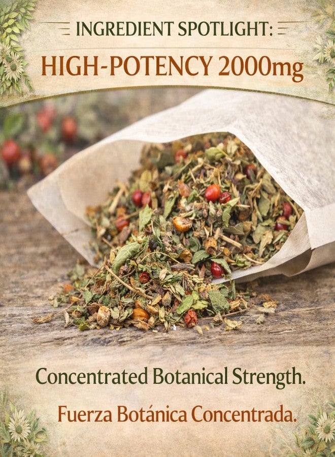B-Experts Axocopaque Mexican Herbal Tea - 24 Premium Tea Bags (2000mg per Bag) - Authentic 100% Natural Mexican Botanical - Caffeine-Free, Vegan & Non-GMO - Traditional Harmony - by BEXPERTSUSA - Image 3