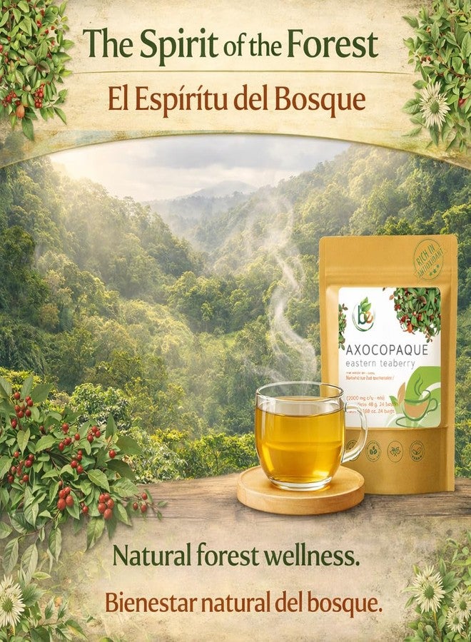 B-Experts Axocopaque Mexican Herbal Tea - 24 Premium Tea Bags (2000mg per Bag) - Authentic 100% Natural Mexican Botanical - Caffeine-Free, Vegan & Non-GMO - Traditional Harmony - by BEXPERTSUSA - Image 2