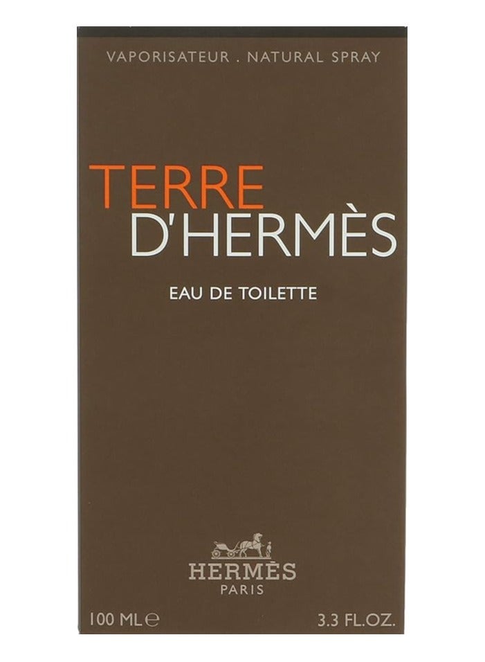 HERMES Terre D'hermes EDT 100ml - Image 3