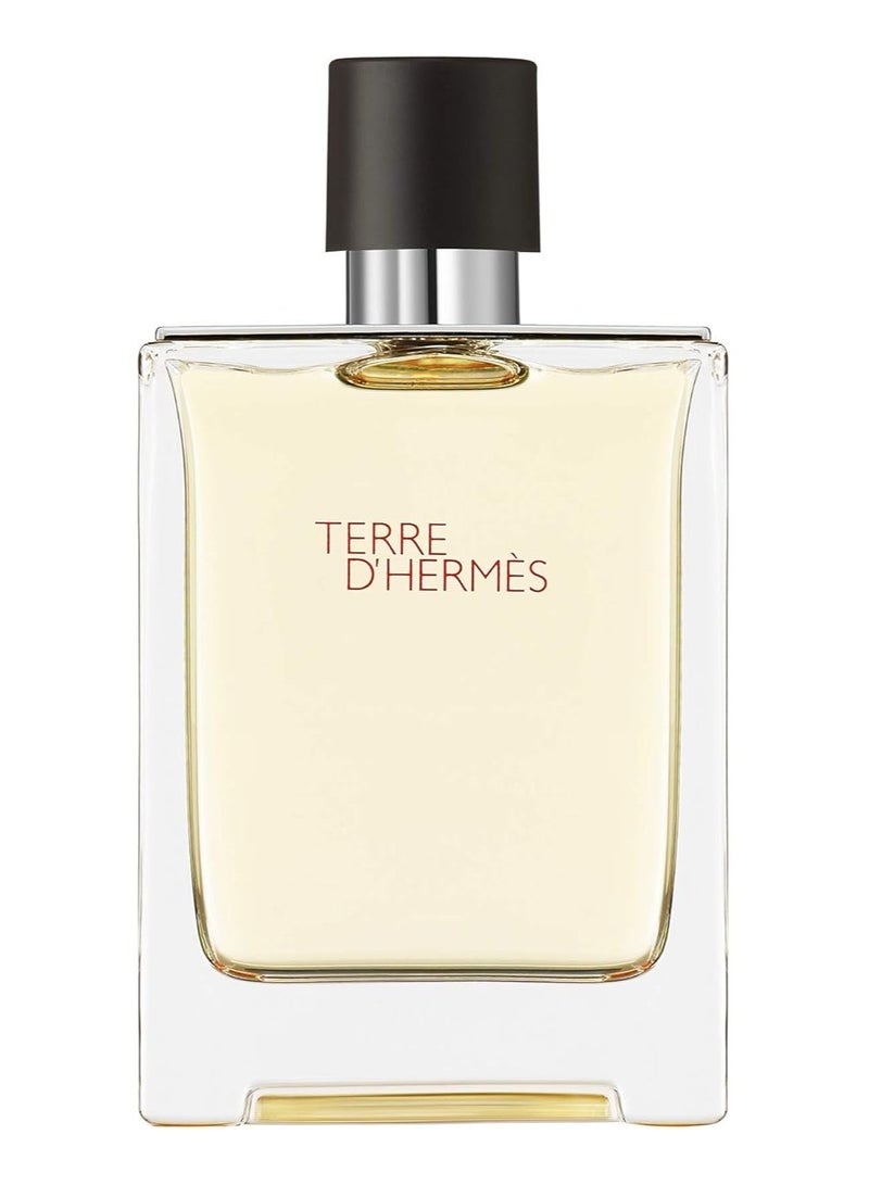 HERMES Terre D'hermes EDT 100ml - Image 2
