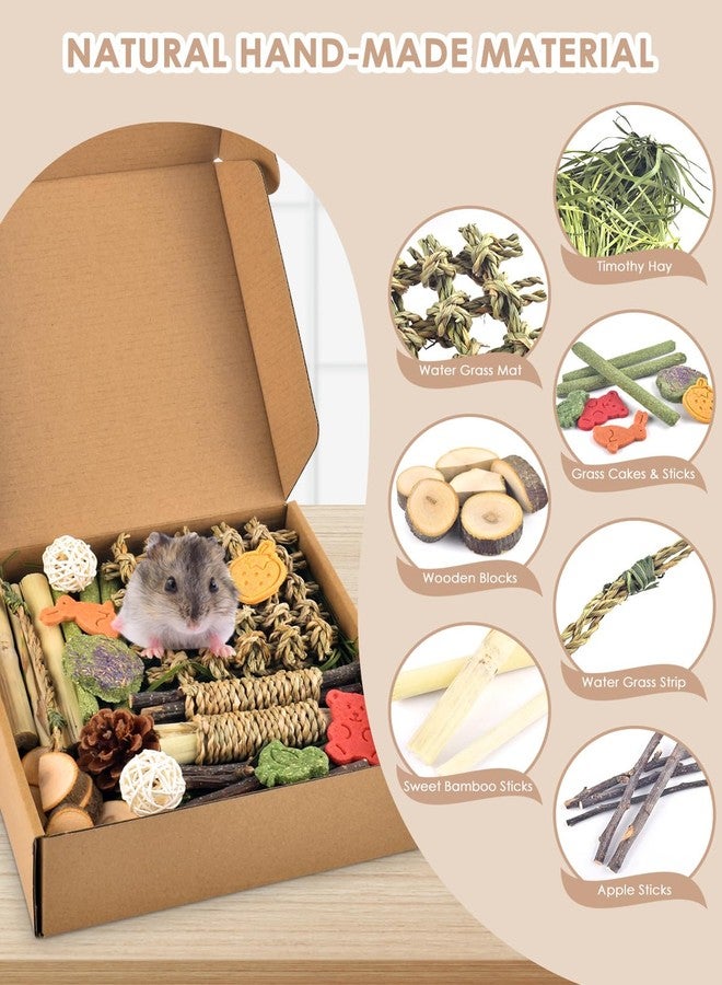Bissap Rabbit Chew Toy, Natural Bunny Treats Snacks with Timothy Hay Water Grass Mat Chewing Bamboo Apple Sticks Box for Guinea Pigs Chinchillas Hamsters Gerbils and Other Small Pets Teeth Grinding - Image 2