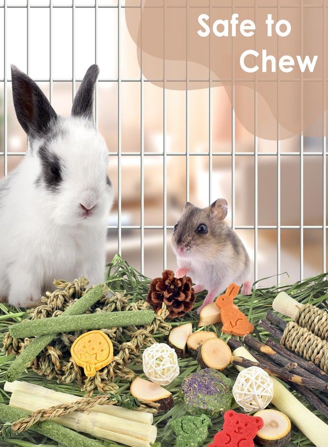 Bissap Rabbit Chew Toy, Natural Bunny Treats Snacks with Timothy Hay Water Grass Mat Chewing Bamboo Apple Sticks Box for Guinea Pigs Chinchillas Hamsters Gerbils and Other Small Pets Teeth Grinding - Image 3