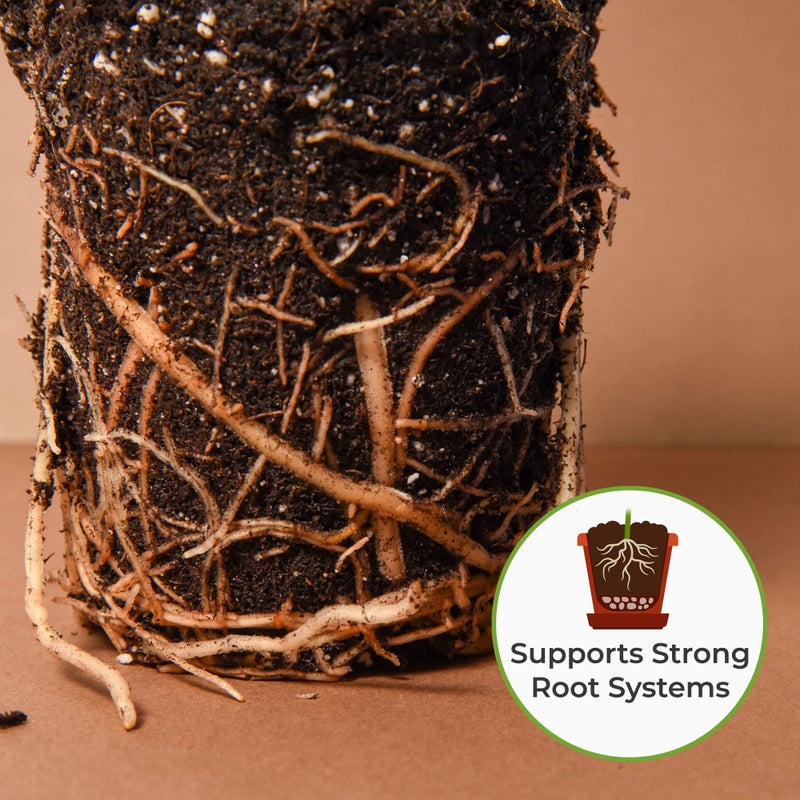 Perfect Plants Organic Snake Plant Soil in 8qt. Bag | Coco Coir Based Potting Mix Snake Plant Varieties - Image 5