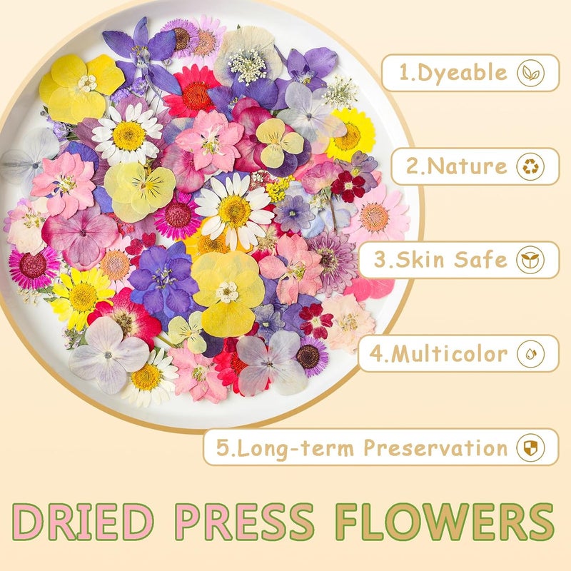 Gvhntk Dried Pressed Flowers Real Pressed Flowers Natural Dry Leaves Bulk Mixed Colorful Herbs Kit with Tweezers for Scrapbooking DIY Candle Jewelry Crafts Making Nails - Image 5