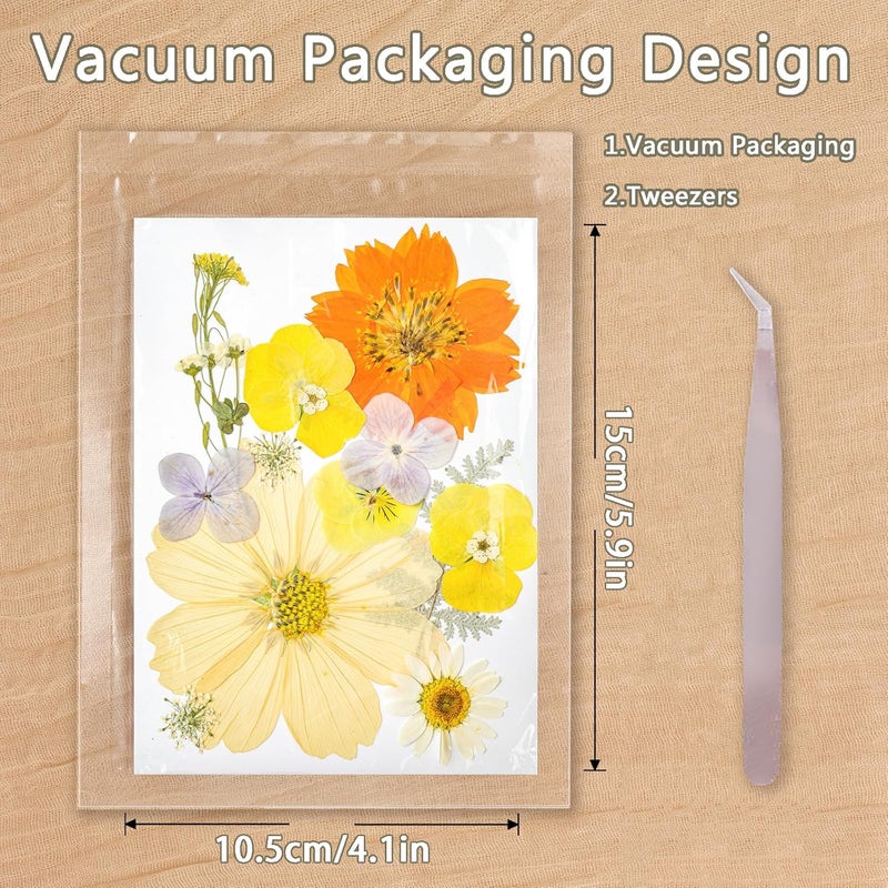 Gvhntk Dried Pressed Flowers Real Pressed Flowers Natural Dry Leaves Bulk Mixed Colorful Herbs Kit with Tweezers for Scrapbooking DIY Candle Jewelry Crafts Making Nails - Image 2