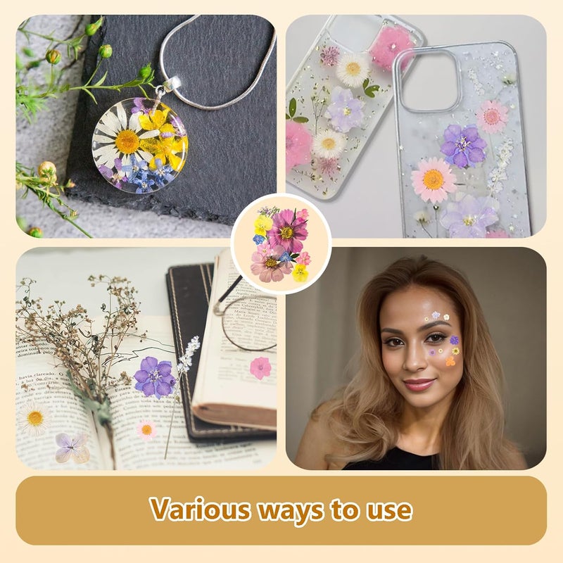 Gvhntk Dried Pressed Flowers Real Pressed Flowers Natural Dry Leaves Bulk Mixed Colorful Herbs Kit with Tweezers for Scrapbooking DIY Candle Jewelry Crafts Making Nails - Image 4