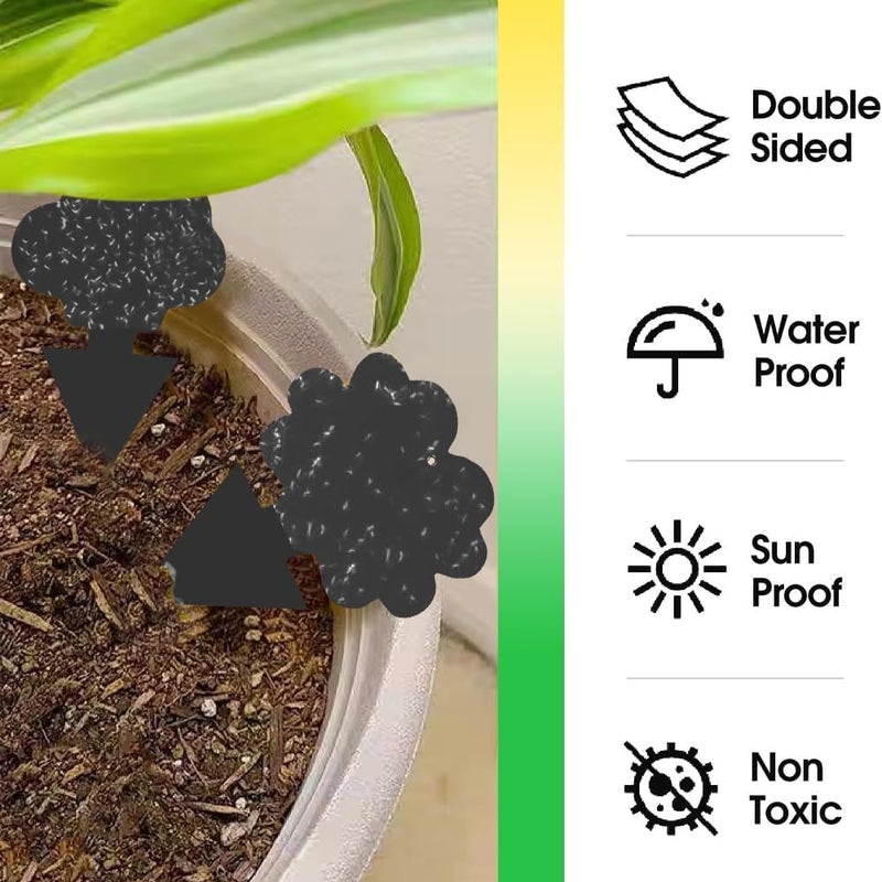 Cleanuper 58 Pcs Black Flying Insect Traps for Plants,Indoors, Outdoors, Kitchen, Yellow Sticky Traps for Fungus Gnat, Fly and Fruit Fly, Flying Insects, Non-Toxic & Odorless, Kid & Pet Safe, Economic Pack - Image 4
