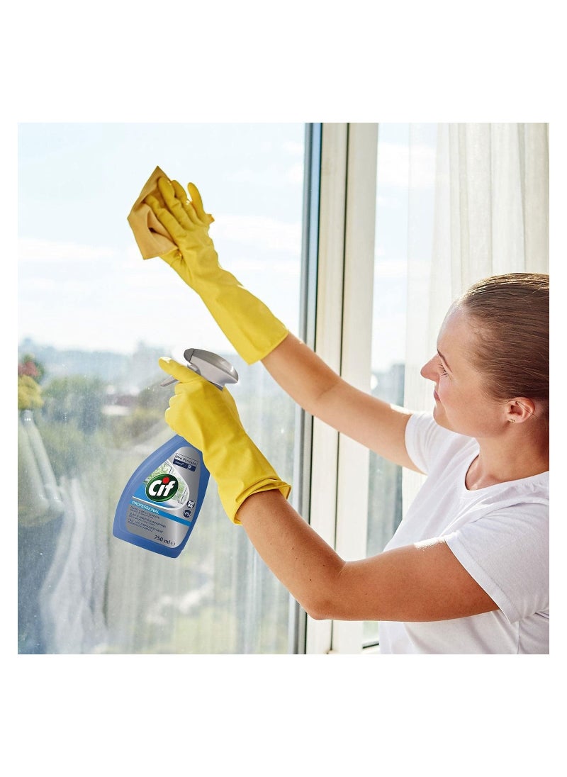 Professional Formula Glass & Multi-Surface Cleaner Spray 750 ML