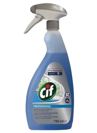 Professional Formula Glass & Multi-Surface Cleaner Spray 750 ML - pzsku/ZB972ABC6A9E2FFCBDCB5Z/45/_/1698551907/4e86b79e-6873-4669-b39e-a00faa89fffd
