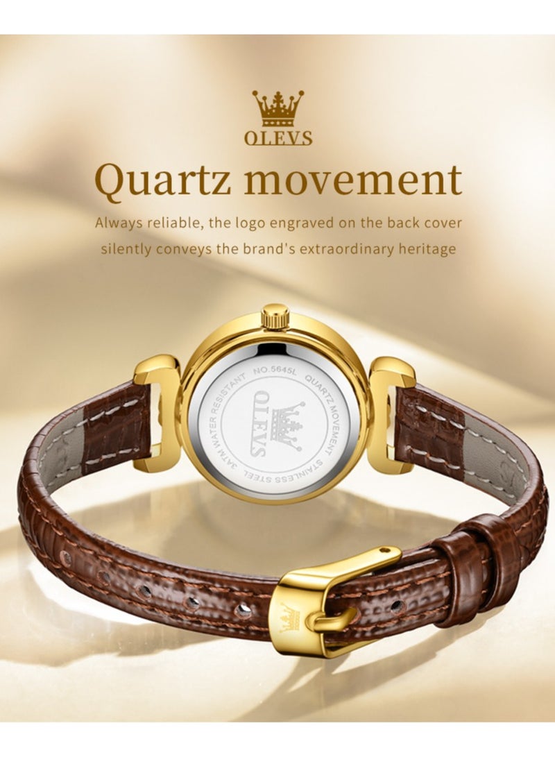 أوليفز ساعة نسائية كلاسيكية بقرص صغير، بحزام جلدي مقاوم للماء، مضيئة مع عرض التاريخ - Image 3