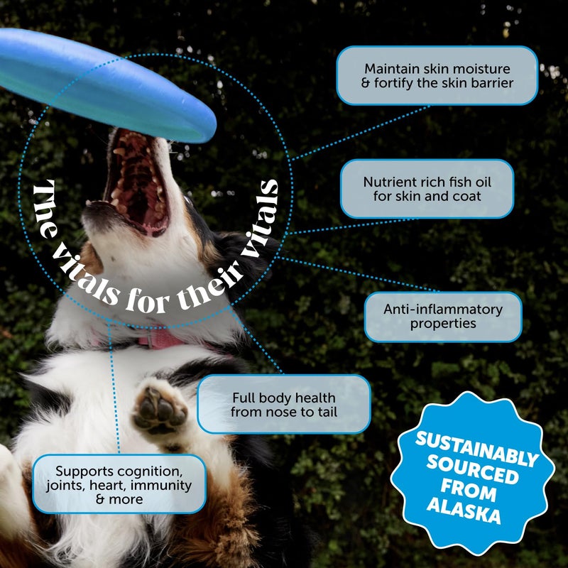 Pet Honesty Wild Alaskan Salmon Oil, Omega-3 Fish Oil for Dogs and Cats, Fatty Acids, Salmon Oil for Dogs, Skin and Coat Health, Pure Dog Food Topper, Supports Joints, Brain & Heart Health - 32oz - Image 2