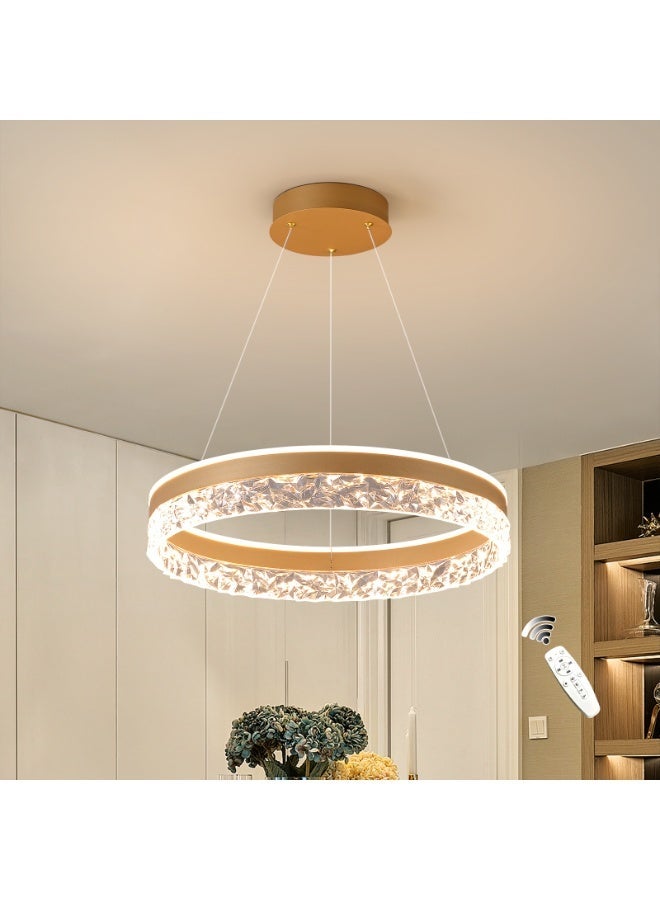  تينيني تخفيت الضوء عن بعد القدرات الوظيفية الثريات LED الحديثة الذهبي YaKeLi حلقي تصميم قابلة للتعديل । । المطبخ وغرفة للطعام 50W من غرفة المعيشة - Image 1