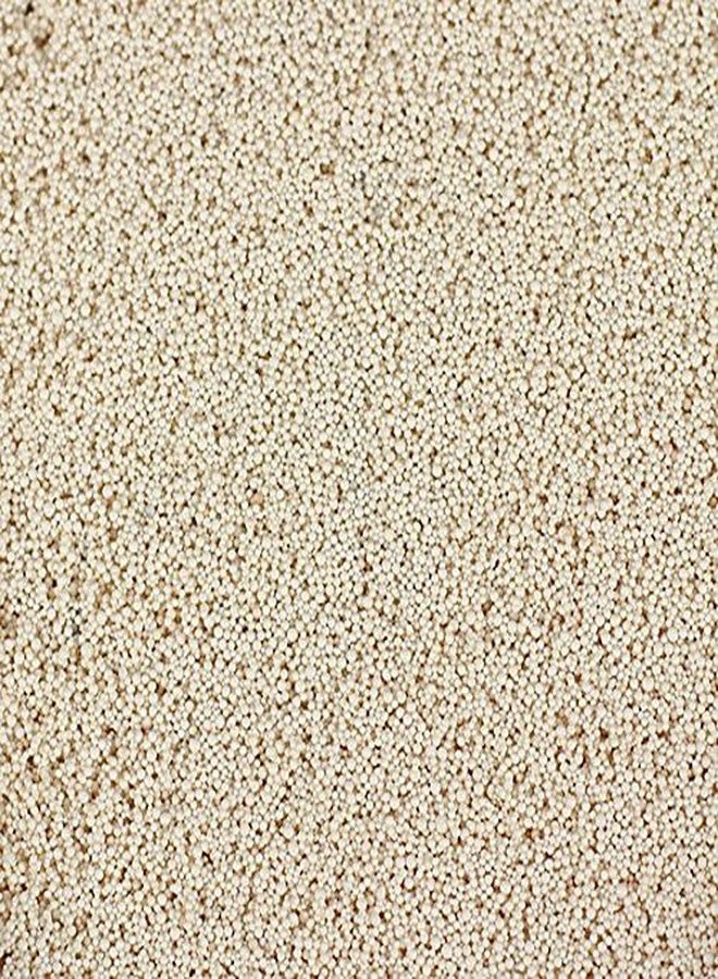 Seachem Purigen Aquarium Filter Media, 250ml - Image 2