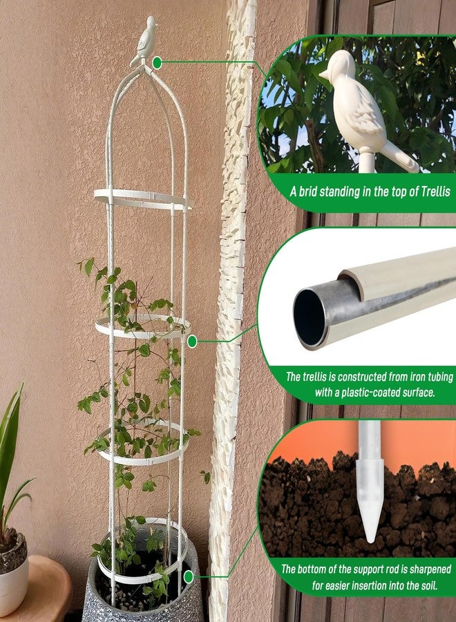 CJGQ Garden Trellis for Climbing Plants, Rustproof Metal Pipe with Heavy Duty 6ft, Garden Outdoor Indoor Potted Plant Support（White）… - Image 2