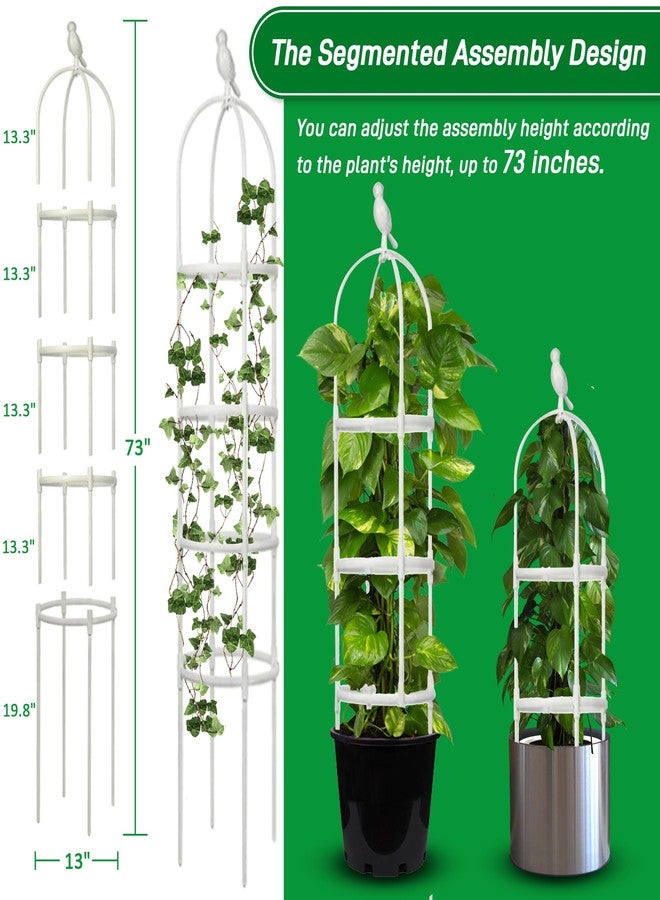 CJGQ Garden Trellis for Climbing Plants, Rustproof Metal Pipe with Heavy Duty 6ft, Garden Outdoor Indoor Potted Plant Support（White）… - Image 3