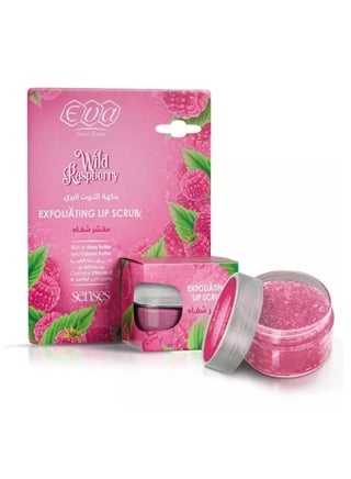 SKIN CARE EXFOLIATING LIP SCRUB RASPBERRY FLAVORED 20 GM - pzsku/ZB975AD6BEB6EE9188C41Z/45/_/1698607497/4d75c6ad-844c-4ee2-aa28-5bee57e3583e