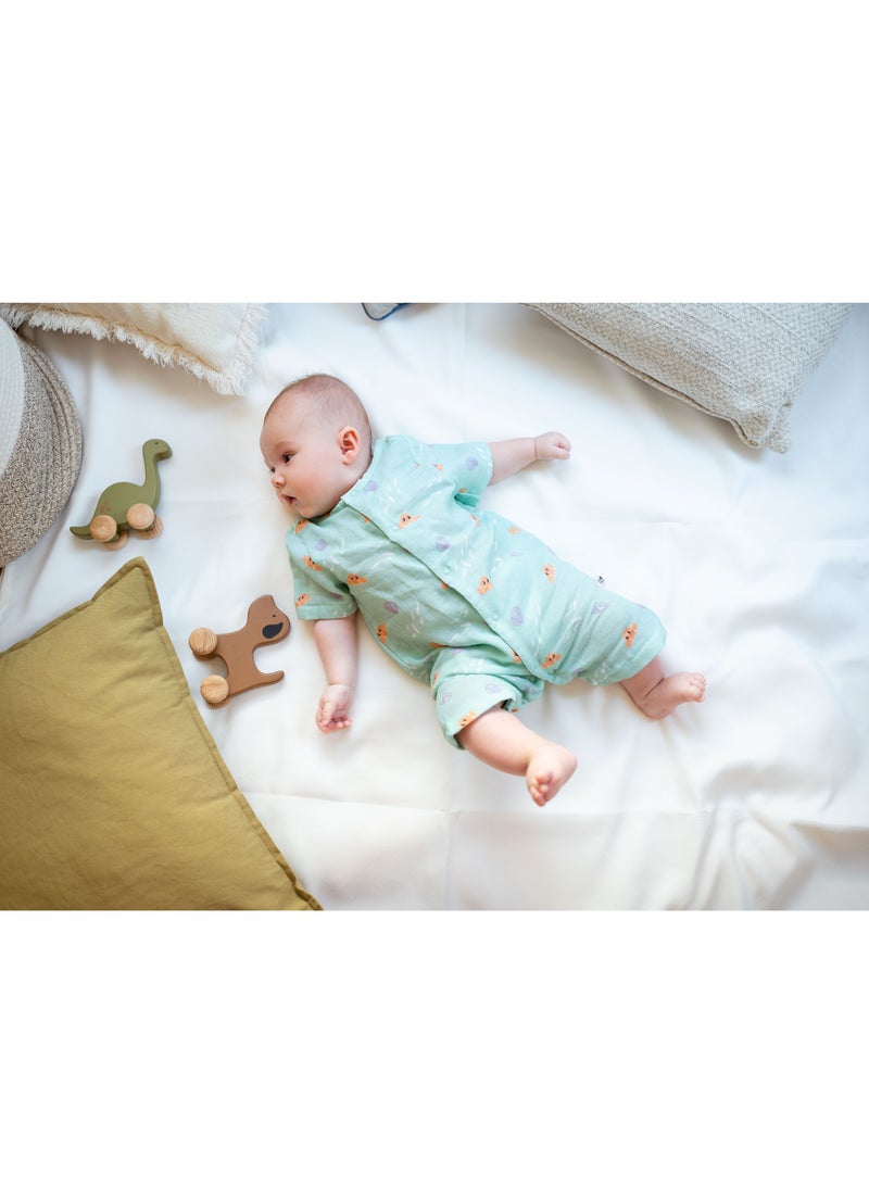 بيرتش آند باغز لعبة الأسطوانة الحيوانية الكلب لعبة خشبية صغيرة الكلب، هدية للأطفال، هدية الطفل، لعبة صديقة للبيئة، لعبة شخصية، هدية لعبة والدورف - Image 4