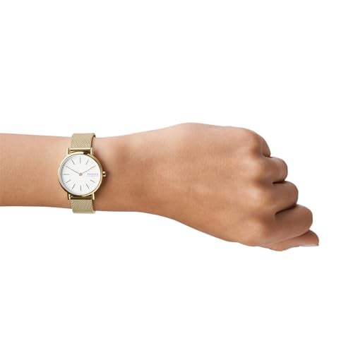 Skagen Women's Signatur Lille Two-Hand Gold Stainless Steel Mesh Band Watch (Model: SKW2693) - Image 4