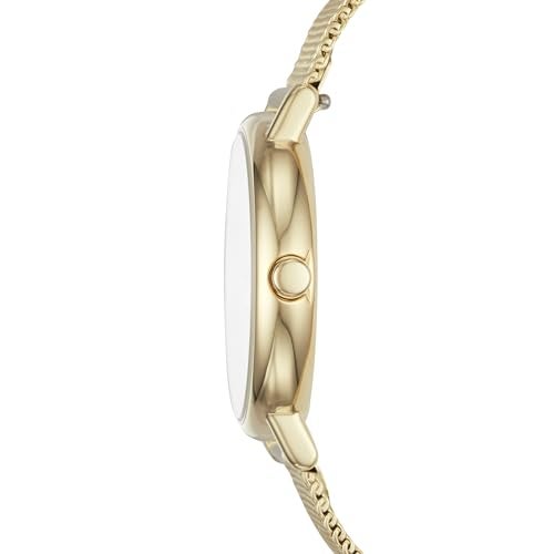 Skagen Women's Signatur Lille Two-Hand Gold Stainless Steel Mesh Band Watch (Model: SKW2693) - Image 2