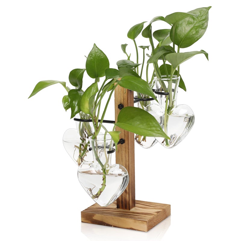 CYZglass Plant Terrarium Propagation Stations with Wooden Stand, Glass Vase for Indoor Hydroponics Home Garden Office Decoration Gift for Women - 4 Love Bulb Vase - Image 1