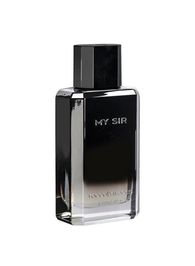 Roccobarocco My Sir Perfume For Men Eau De Parfum 100Ml 3.4Floz - Image 2