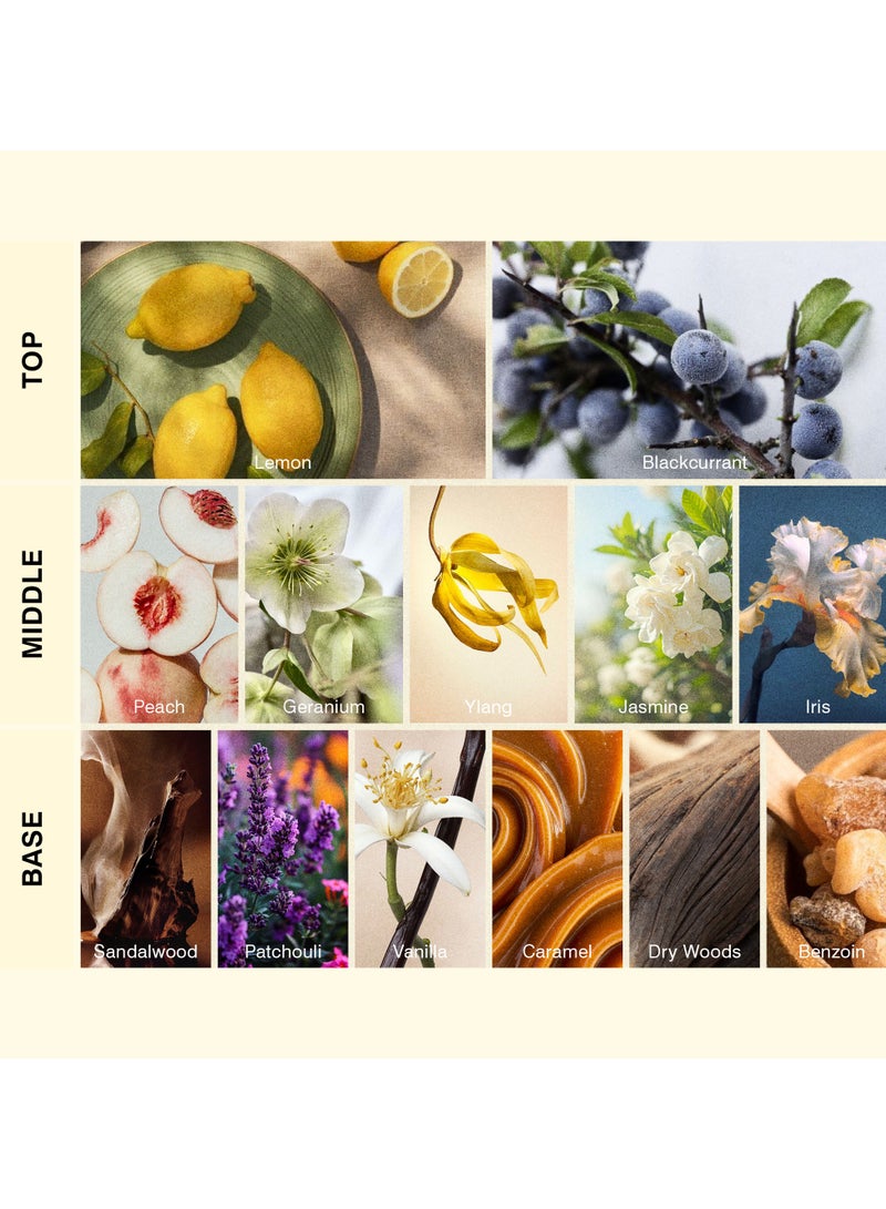 ISCENT | Peninsule – Fragrance Oil Refill for Ensō Mini Diffuser 10ml | Lemon, Blackcurrant, Peach, Jasmine & Vanilla for Home & Car | Fruity Brightness, Floral Elegance & Sweet Earthiness - Image 2