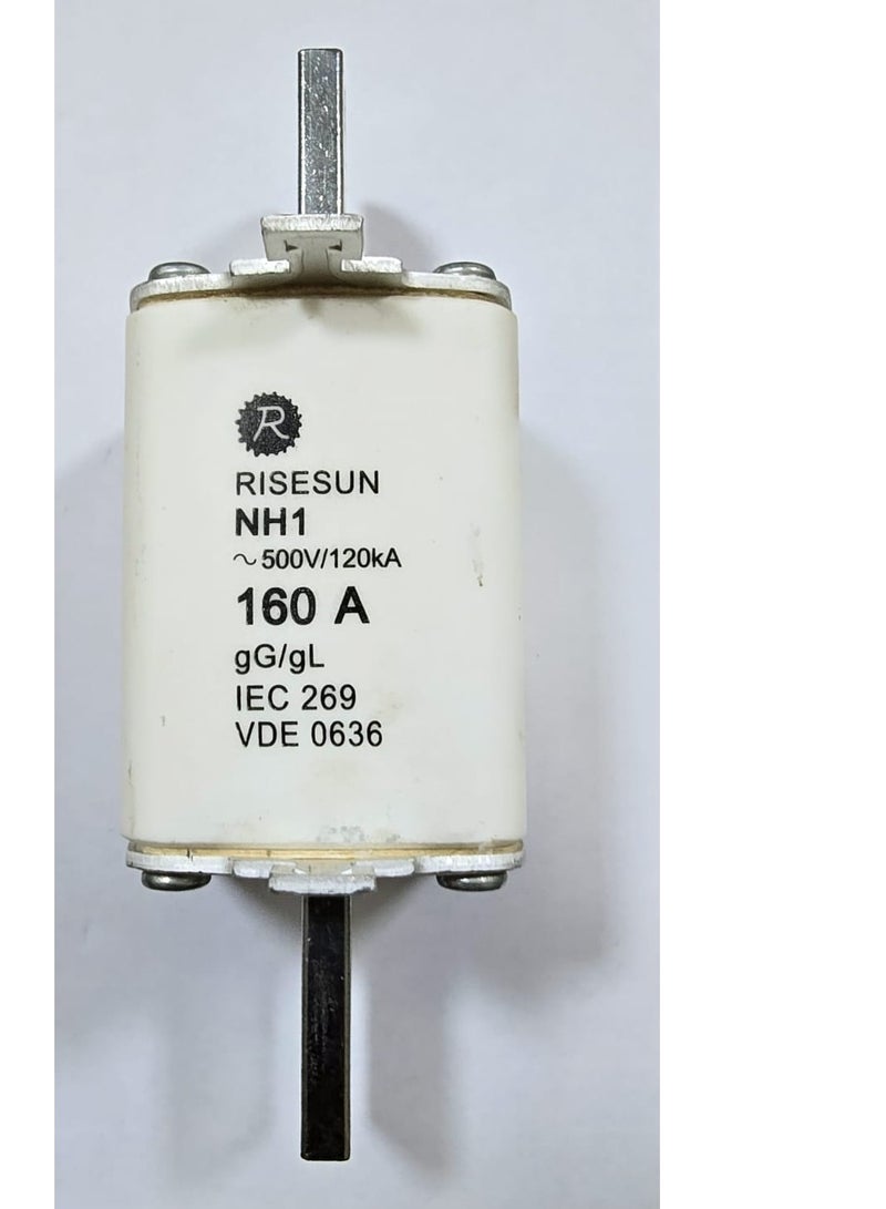 RISESUN NH1 160A DOUBLE BLADE FUSE