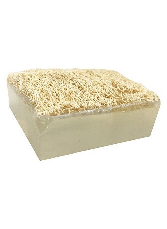 Primal Elements - Salted Lemonade Handmade Glycerin Loofahbar Soap - Image 1