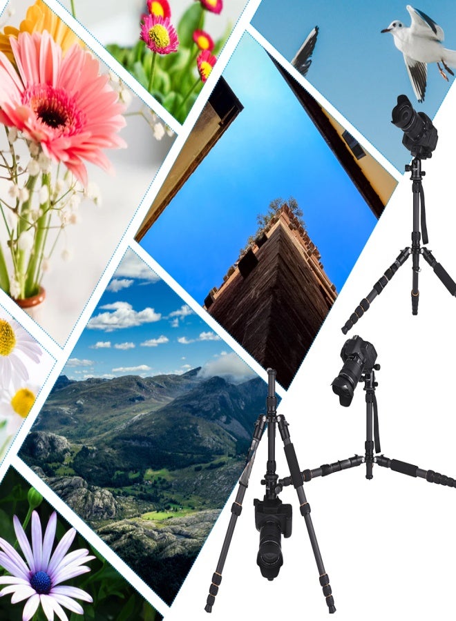 ZOMEI Q666C 59inch Travel Portable Lightweight Carbon Fiber Camera Tripod Monopod with Ball Head/ Quick Release Plate/ Carry Bag for DSLR Camera - Image 4