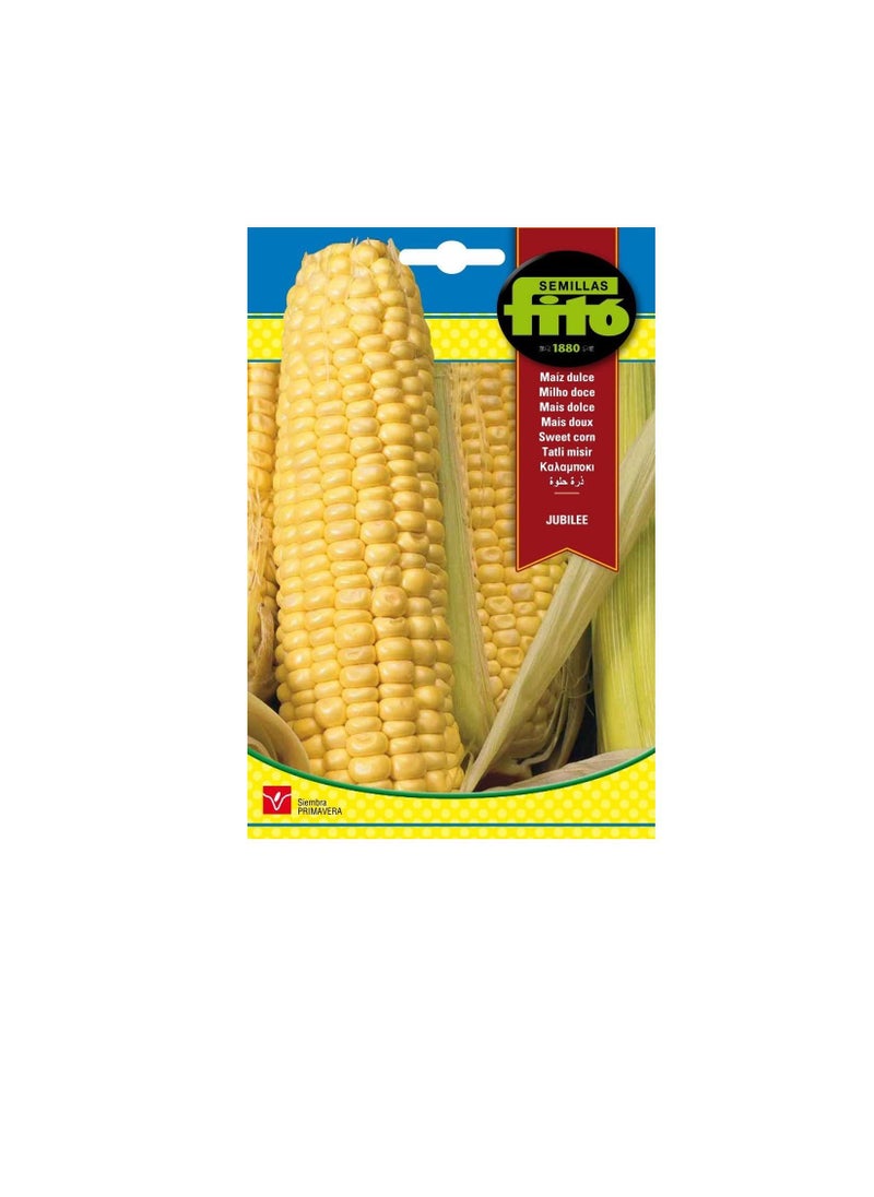 Fito Fito Semillas Sweet Jubilee Corn Seeds  - Image 1