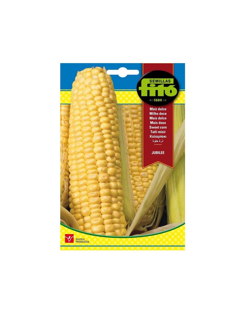 Fito Fito Semillas Sweet Jubilee Corn Seeds  - Image 3