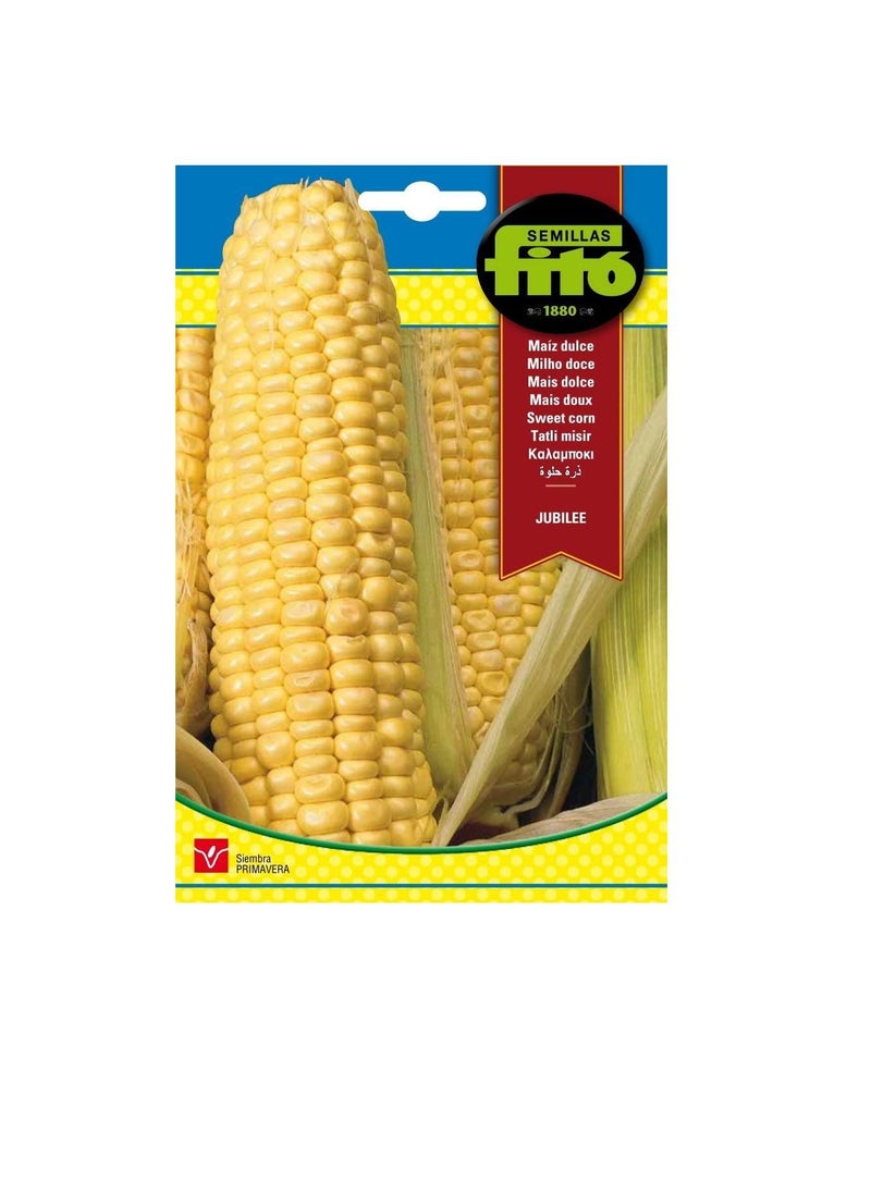Fito Fito Semillas Sweet Jubilee Corn Seeds  - Image 2