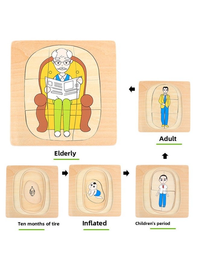 Montessori Teaching Aids Multi-layer Puzzle Early Education Toys Cartoon Animal Puzzle Children's Educational Cognitive Toys Wholesale-Color:Men Grow. - Image 1