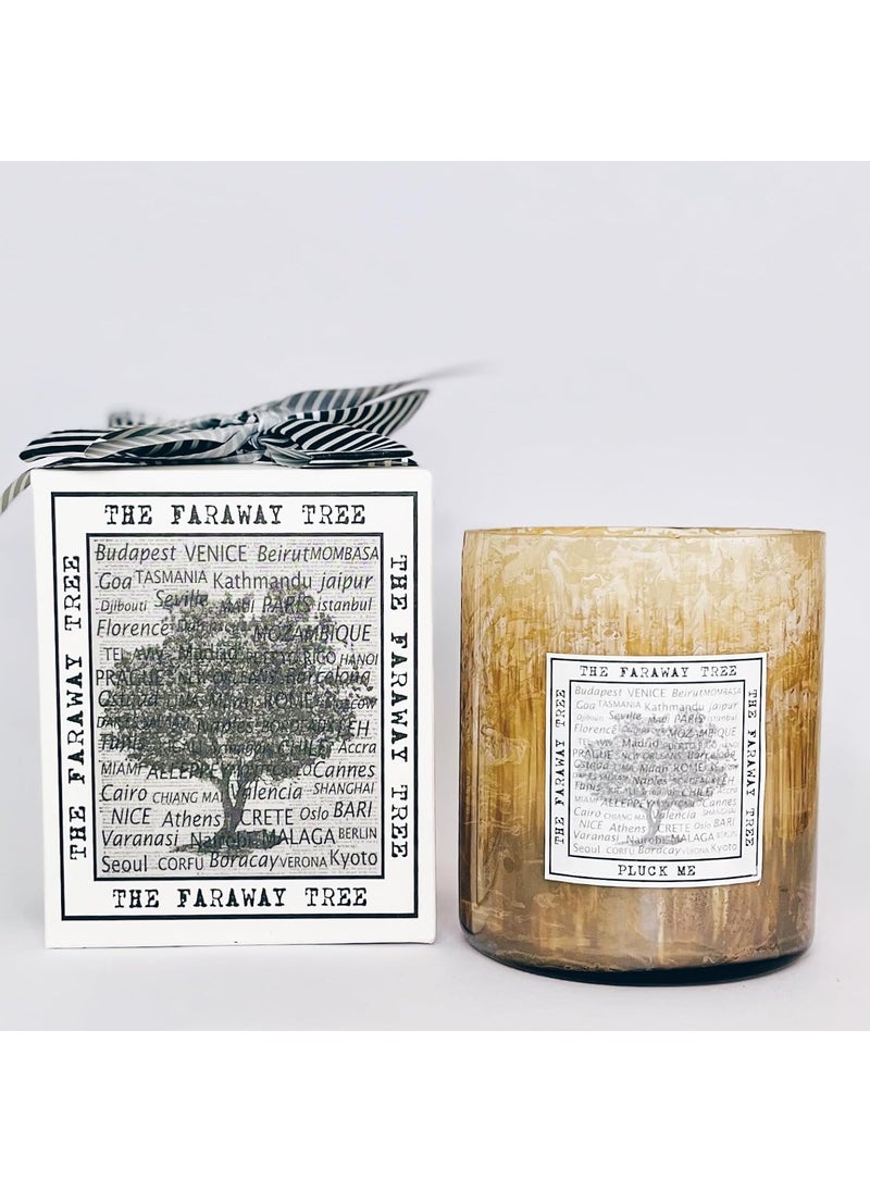 THE FARAWAY TREE THE FARAWAY TREE Scented Candle Pluck Me  - Image 1