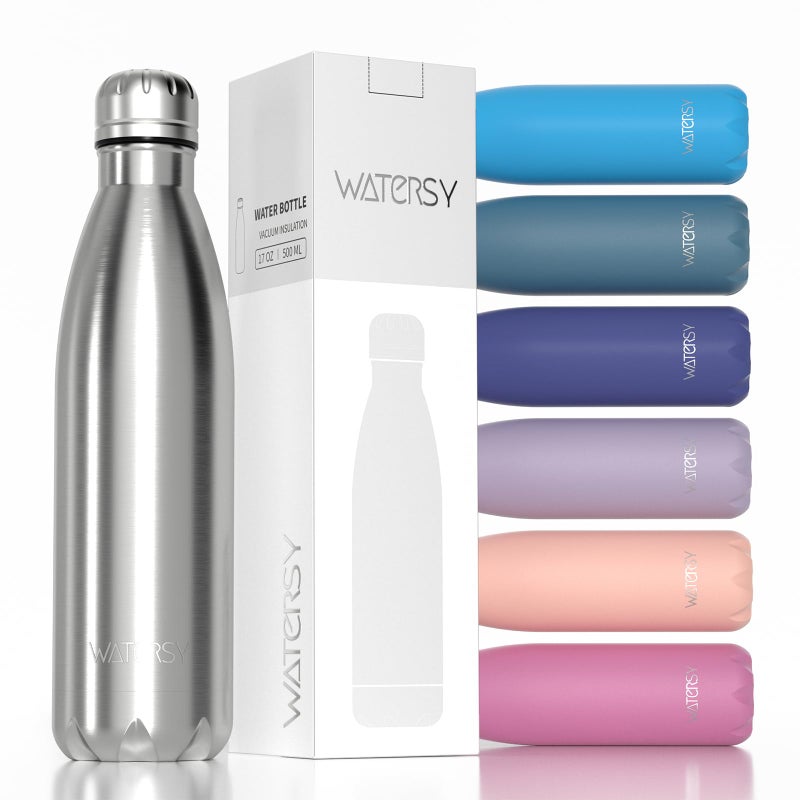 WATERSY Stainless Steel water bottles17oz500ml Insulated Water BottlesSliver metal water bottle Keeps Drink Cold and HotBPA Free kids water bottles for SchoolGymTravelSports