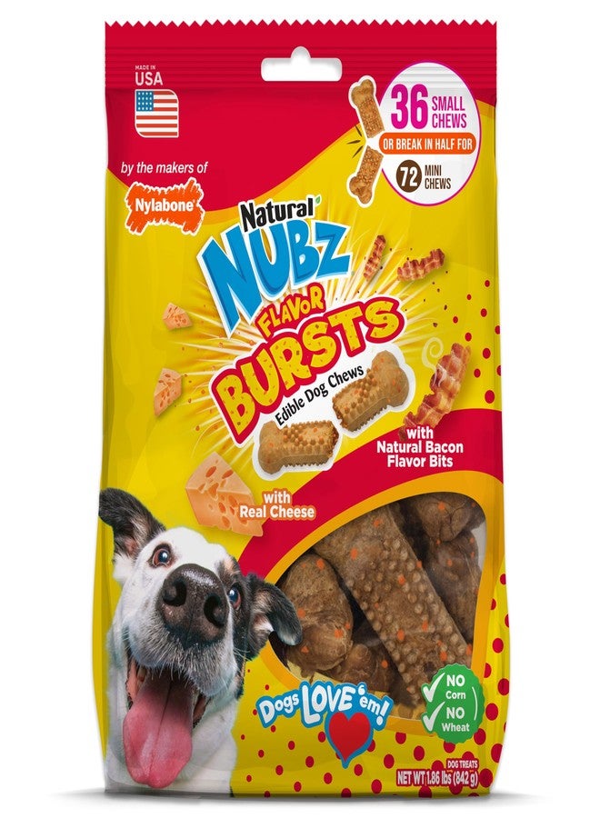 Nylabone Nubz Flavor Bursts Natural Edible Chew Bones for Dogs, Healthy Long Lasting Chews Made in The USA, Grain-Free Dog Treats for Small Dogs, Bacon & Cheese Flavor (36 Count) - Image 1