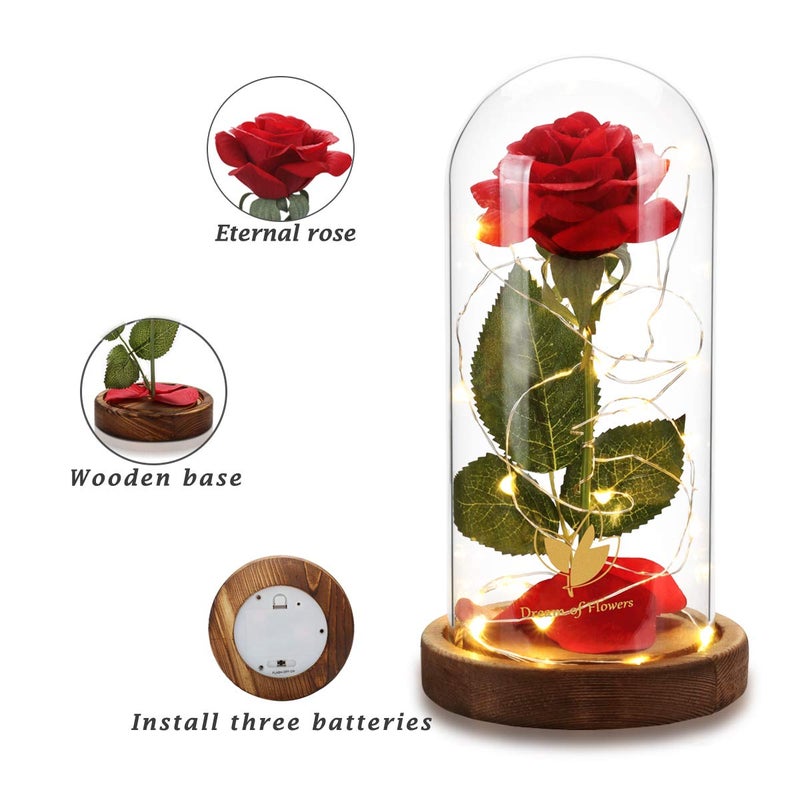Dream of Flowers وردة الجميلة والوحش في وعاء زجاجي، وردة صناعية حمراء، هدايا فريدة للنساء في عيد الميلاد وحفلات الزفاف وعيد الحب والذكرى السنوية وأعياد الميلاد - Image 2