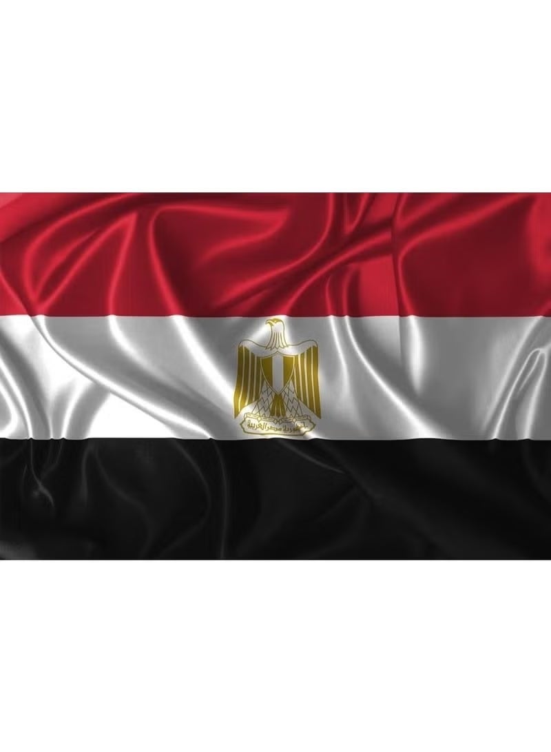 ARS Egypt Flag -Singla Side, Heavy-Duty 210D Satin, Egypt Flag for Outdoor/Indoor, Fade Resistant, Flag Day, And Home-Polyester, Sport Day, FIFA Cup-Size Available - Image 4