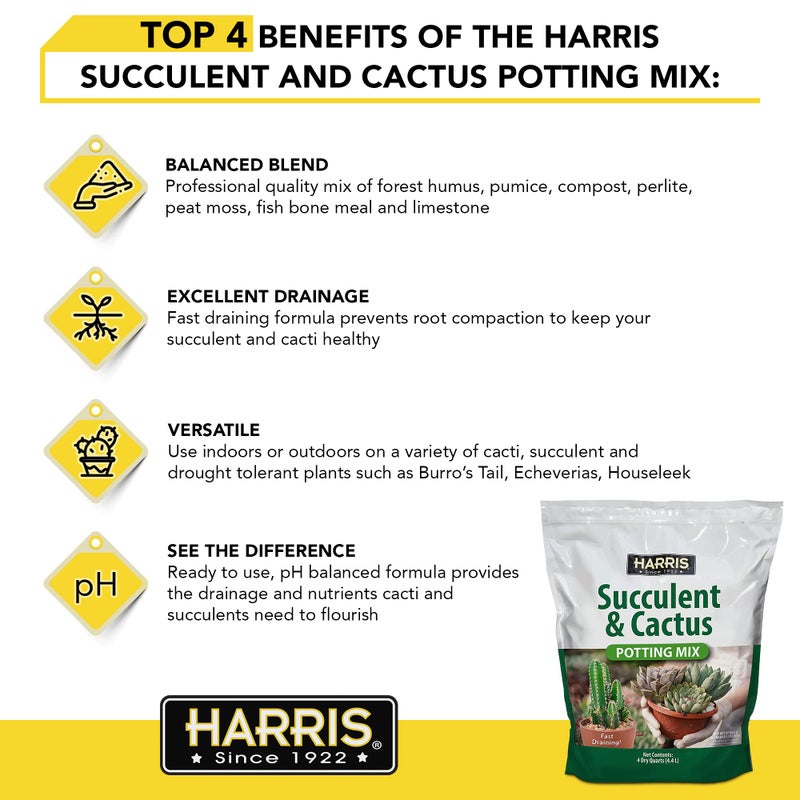 Harris Premium Succulent and Cactus Potting Soil Mix, Fast Draining with Added Nutrients, 4 Quarts - Image 3