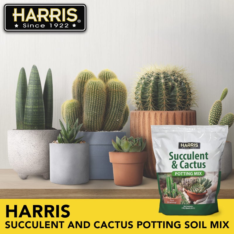 Harris Premium Succulent and Cactus Potting Soil Mix, Fast Draining with Added Nutrients, 4 Quarts - Image 2