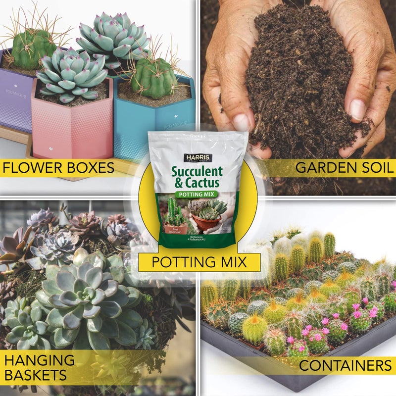 Harris Premium Succulent and Cactus Potting Soil Mix, Fast Draining with Added Nutrients, 4 Quarts - Image 4
