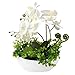 Briful Orchids Artificial Flowers 14" Large Fake Orchid White Phalaenopsis Orchid Flower Arrangements with Ceramic Vase - Image 2