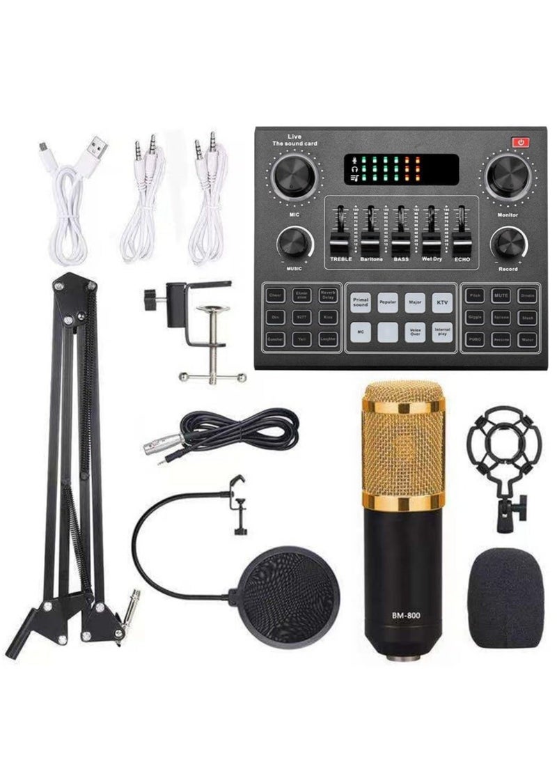 ELTRAZONE Elite V9 Sound Card & BM800 Pro Microphone Bundle for Advanced Broadcasting - Image 1