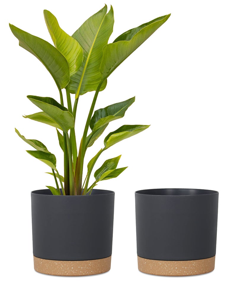 kubvici Plant Pots for Indoor Plants 2 Pack 12 Inch Pots for Plants Lightweight Large Planters for Indoor Plants Outdoor Plants Big Plastic Black Plant Pot Flower Pot with Drainage 12 Black