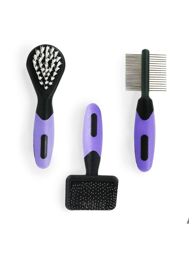 Rosewood Options Mini Grooming Set - Image 2